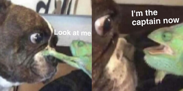 Or am I