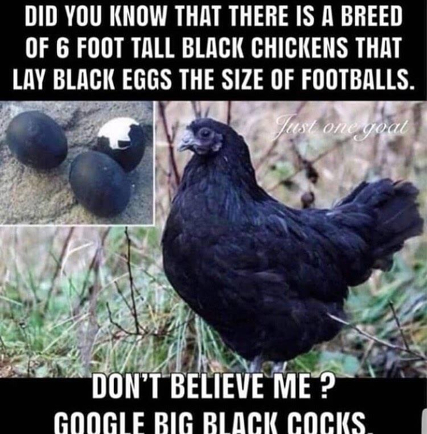 Or maybe just take my word for it