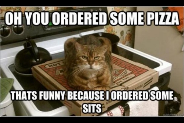 Order food