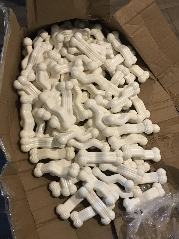 Ordered a bike pump got  weird dog bones instead