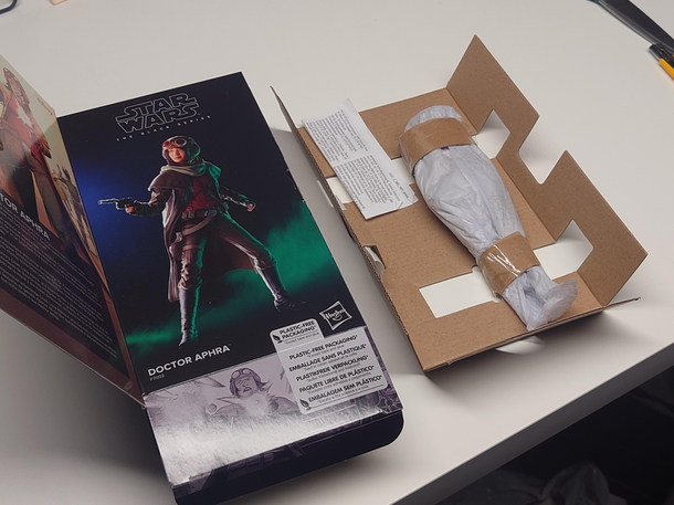 Ordered a space archaeologist received a space mummy