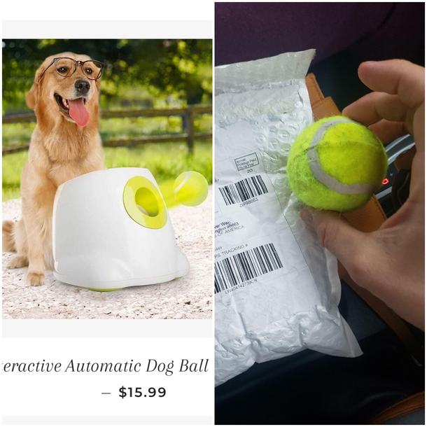 Ordered an automatic dog ball launcher got a solid foam tennis ball instead