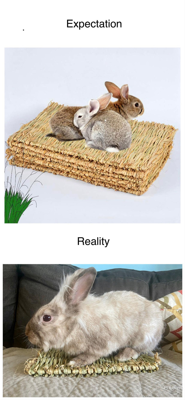 Ordered some grass mats for my rabbits on amazon