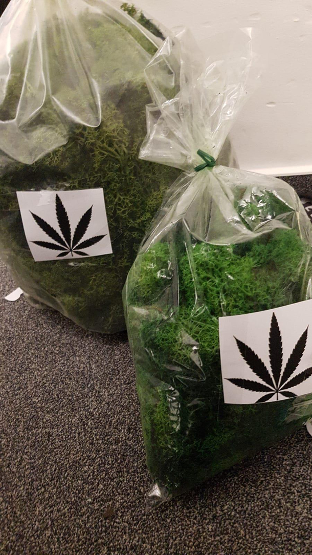 Ordered some iceland moss to my work A colleague sticked something on it
