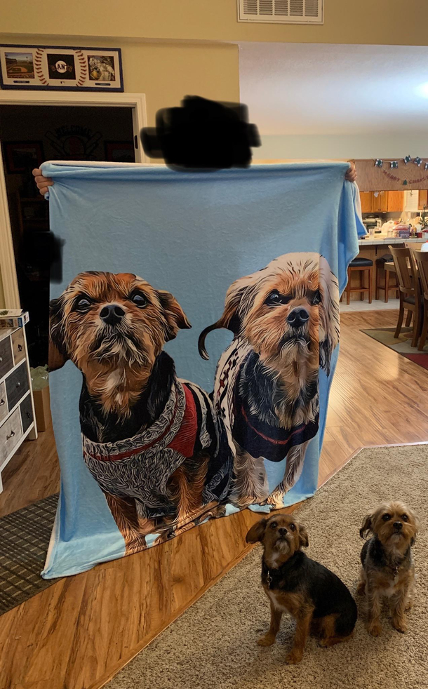 Ordered the blanket from a sketchy seeming website They nailed it