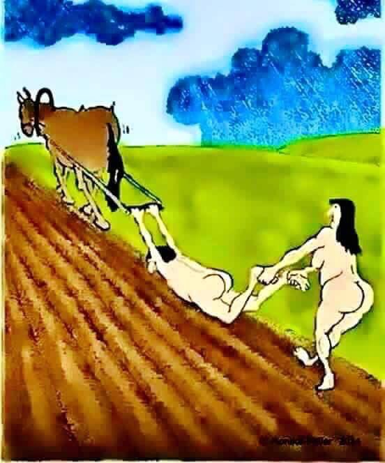 Organic Farming