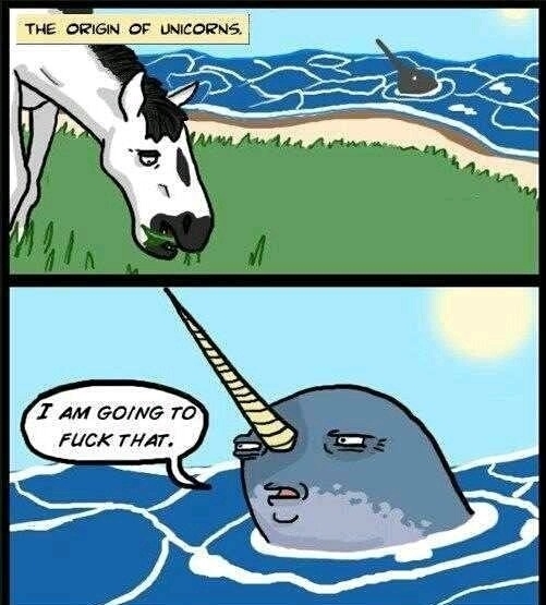 Origin of unicorns
