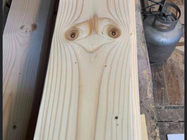 Ostrich Wood