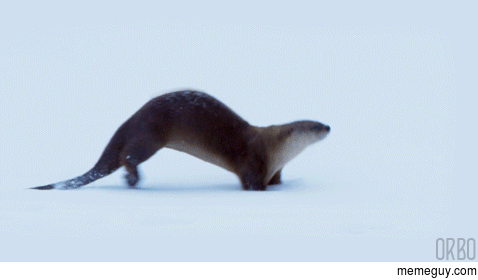 Otter Slide 