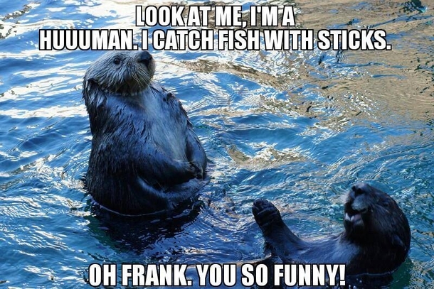 Otters can do great Human impressions Can you do a great Otter impression No Otter  Human 