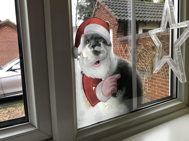 Our cat always wants to come in through the window so we made it festive