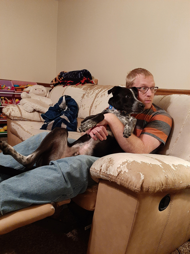 Our dog was concerned about our friends child crying I joined his concerned look
