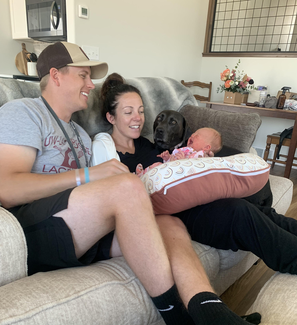 Our dogs reaction to bringing home our tiny human