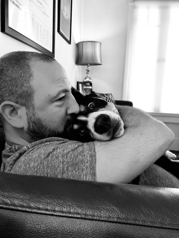 Our dogs were not prepared for the level of emotional support we require during quarantine