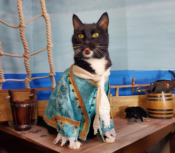 Our Flag Means Blep