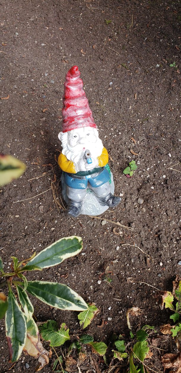 Our garden gnome lost his fishing pole and now he just looks like hes packin heat