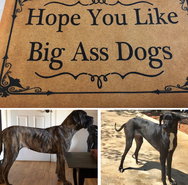 Our new floor mat is very accurate