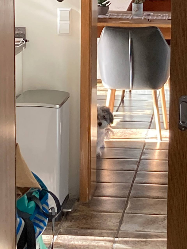 our peronal stalker