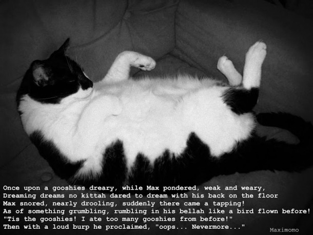 Our poetry loving cat found his muse and wrote something about his love of gooshycanned food 