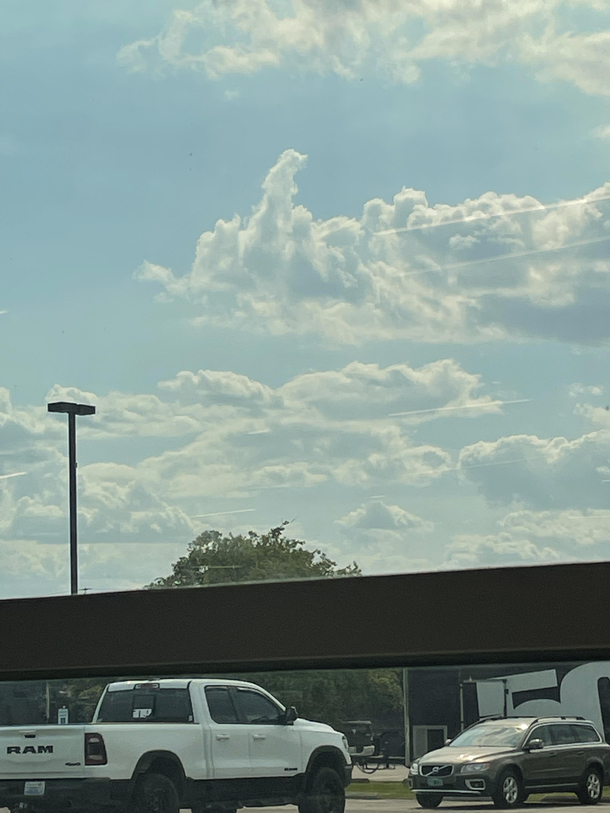 Our smoky skies cleared up enough to show this sass