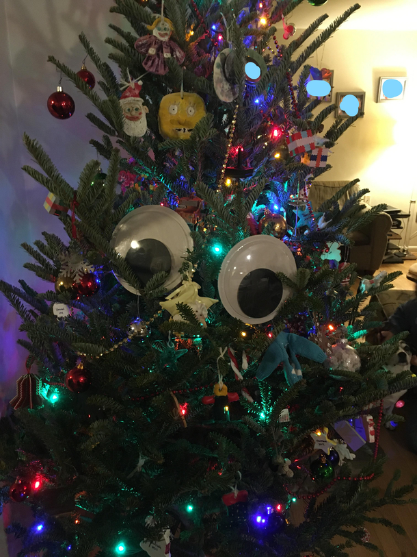 Our teens decorated the tree this year