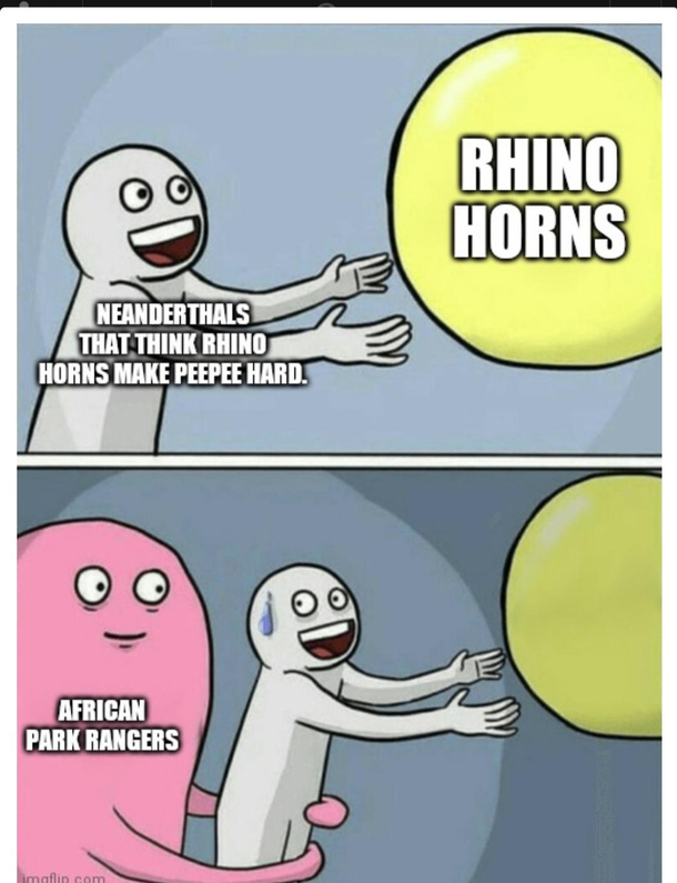 Our world is so full of dumb