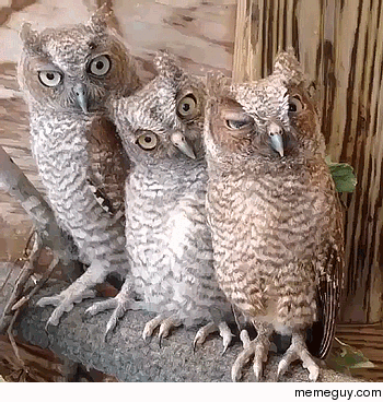 Out of Sync