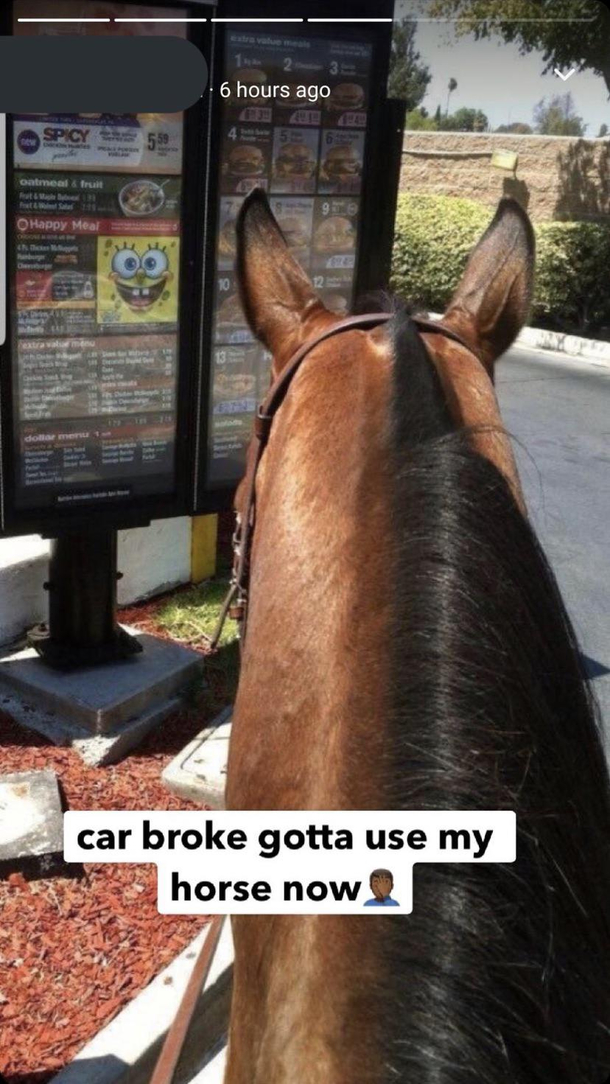 Outhorse the gas