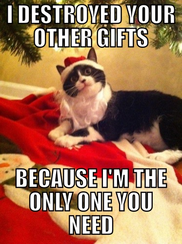 Overly Attached Christmas Cat
