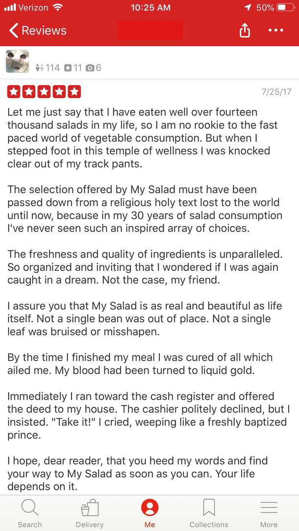 owner loved my review