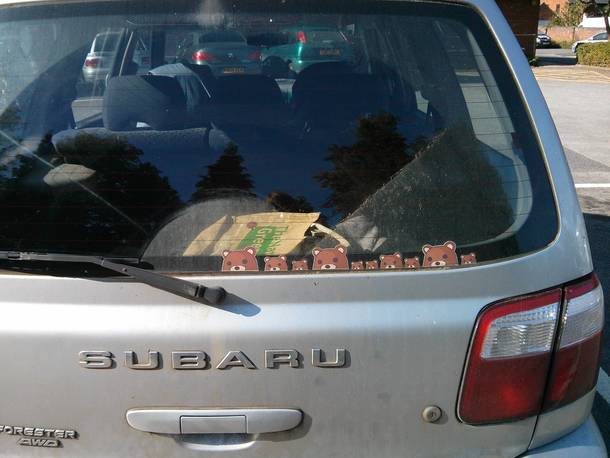Owner of this car obviously loves bears Or wait