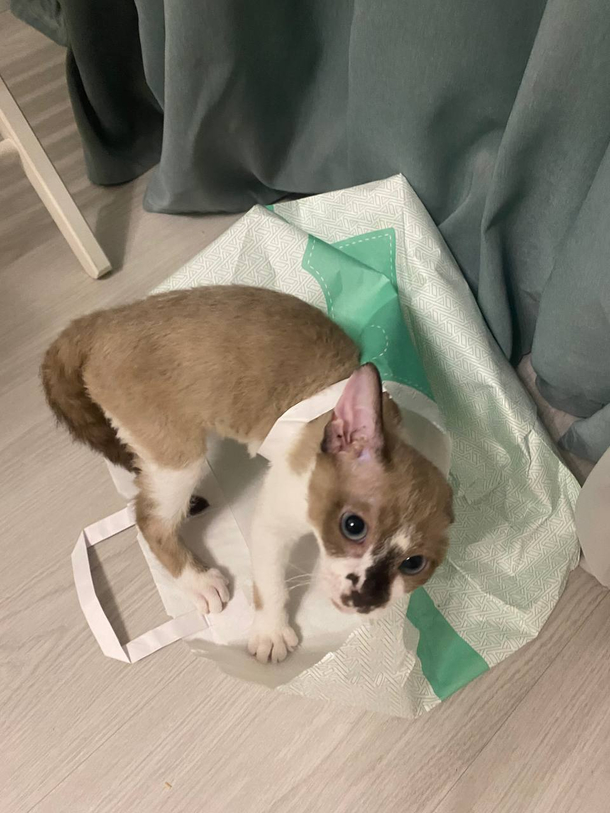 package destroyer