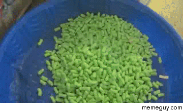 Packing foam  ferrets  profit