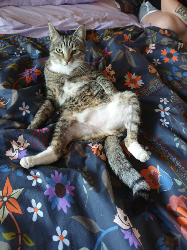 Paint me like one of your French girls