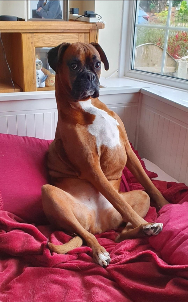 Paint me like one of your French girls