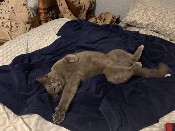 Paint me like one of your French girls Jack