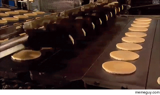 pancake multi-flipper