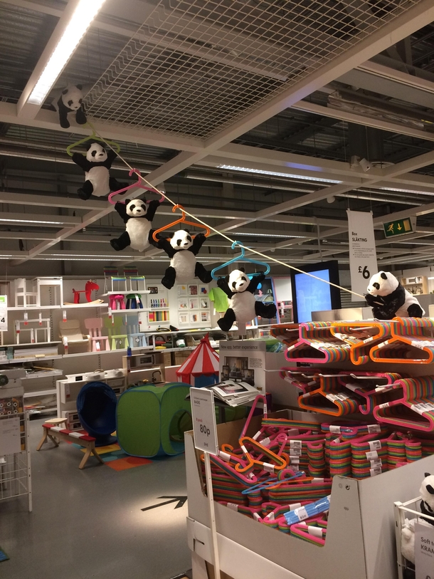 Panda getaway mission in IKEA