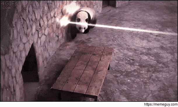 Panda Wars