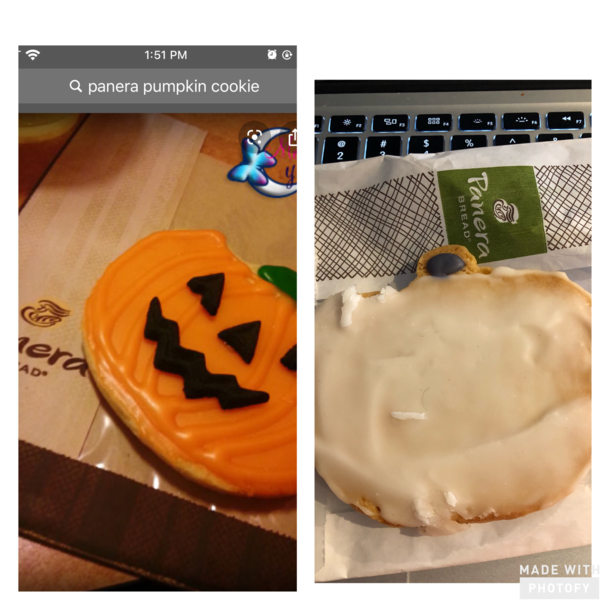 Panera pumpkin cookie