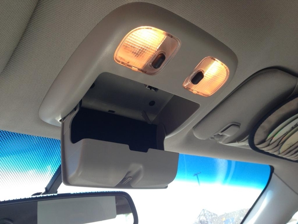 Panicked sunglasses holder