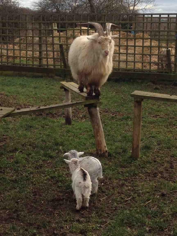 Parenting - hiding from the kids