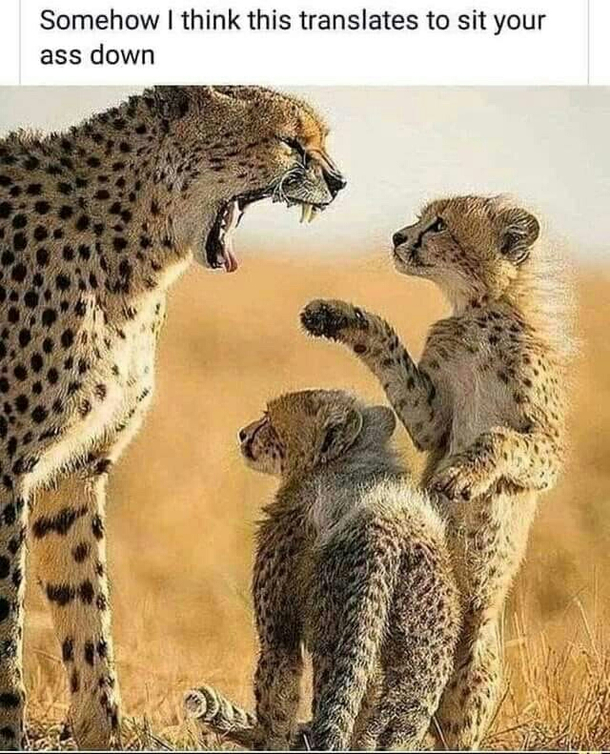 Parents being parents