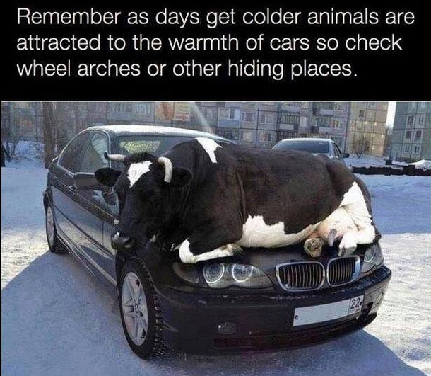Particularly relevant given the current cold snap