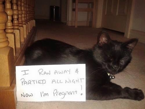 Party girl consequences