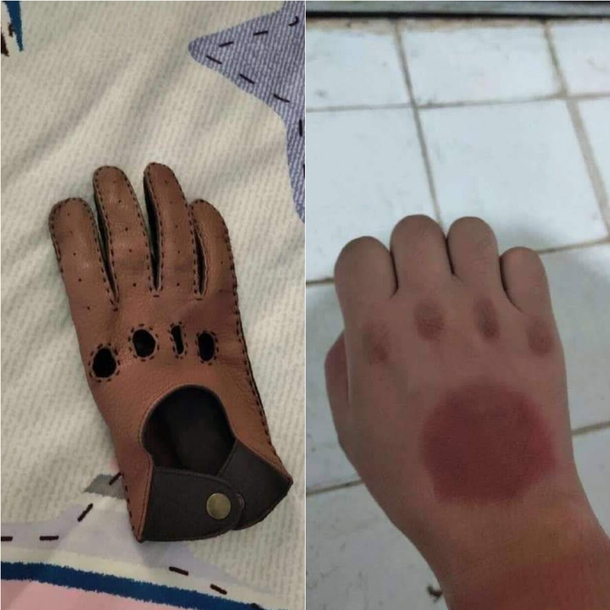 Paws glove