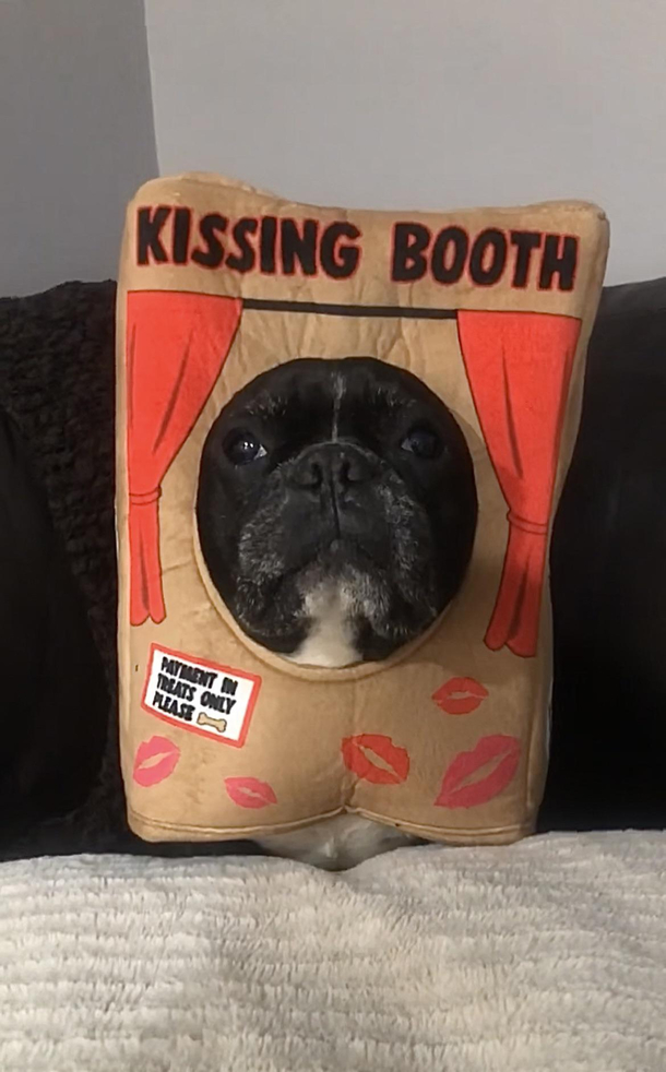 Payment in treats only