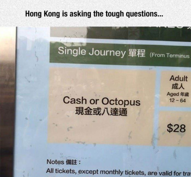 Payment Options