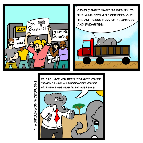 Peanuts the Elephant