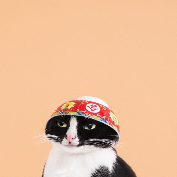 Peasant my food bowl is empty